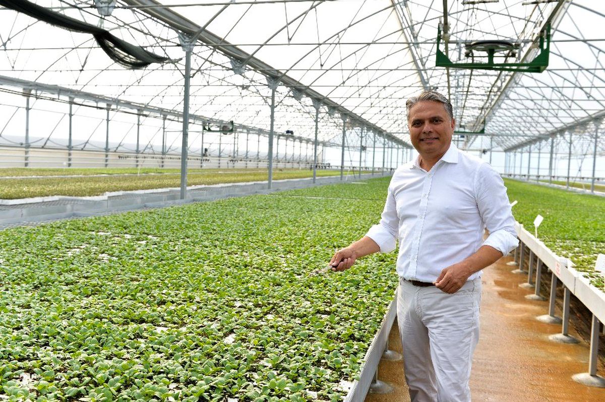 Muratpaşa bahçe bitkileri üretip satacak