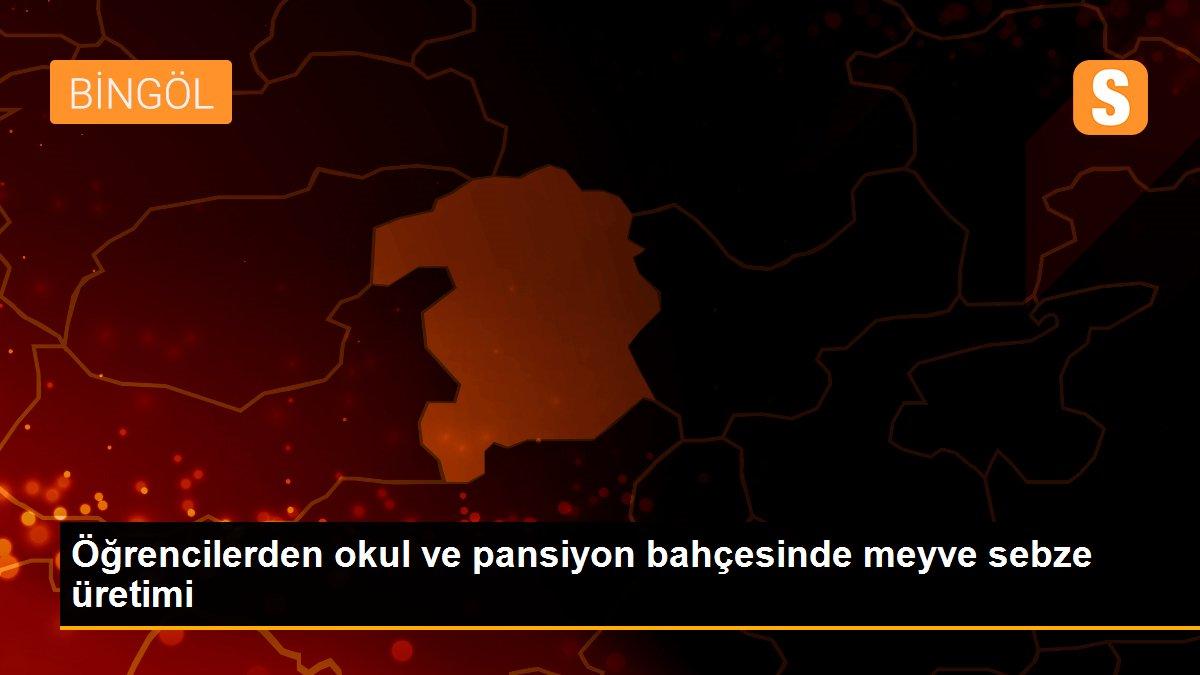 Öğrencilerden okul ve pansiyon bahçesinde meyve sebze üretimi