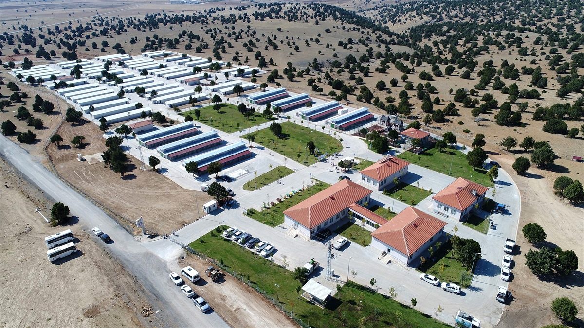 Sokak hayvanlarına "konforlu" barınak