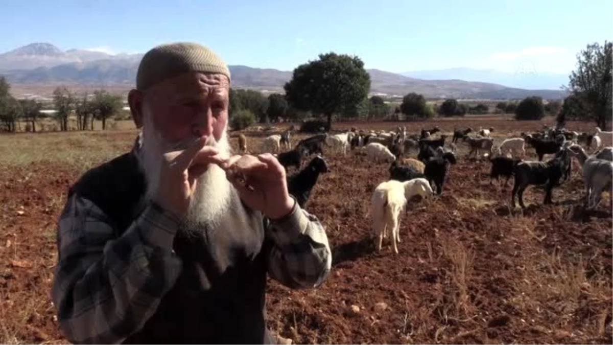Keçilerin çobanı, mahallelinin öğretmeni (2)