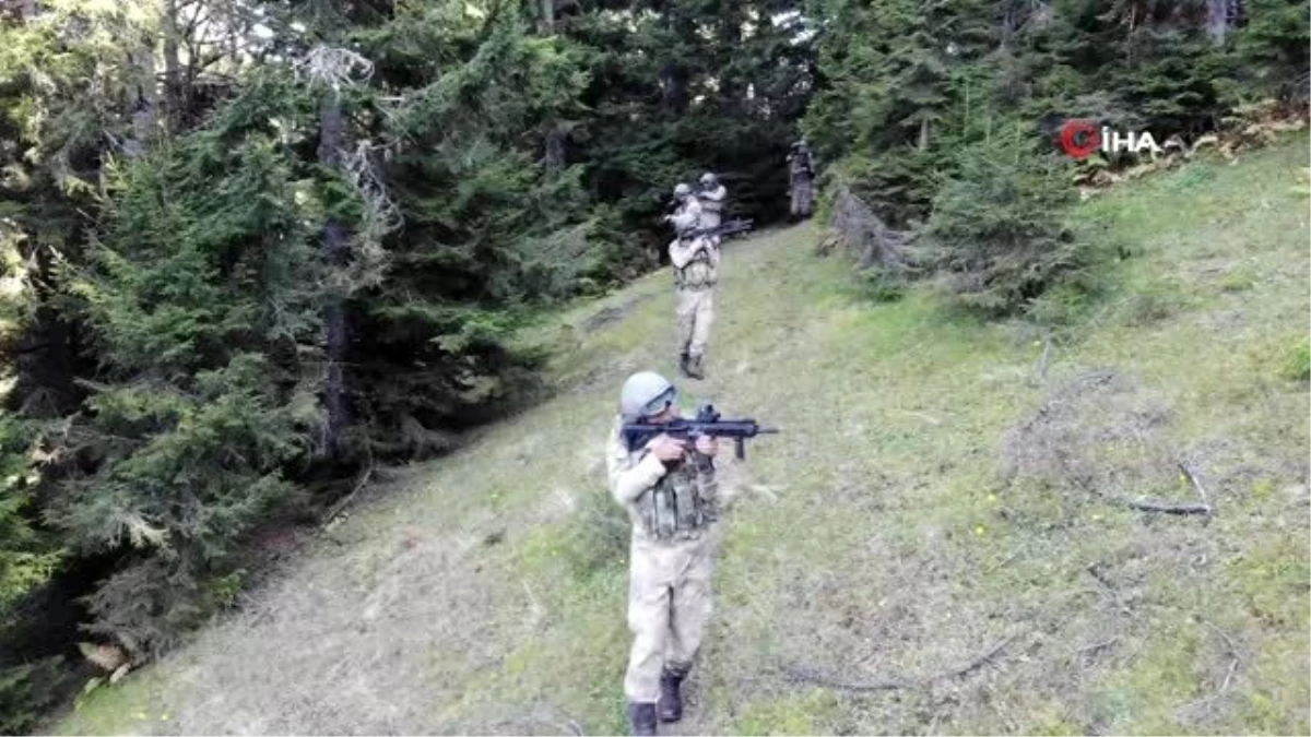 Mehmetçik yurt içi ve dışında PKK\'ya nefes aldırmıyor: Cesaretleri kalmadı!