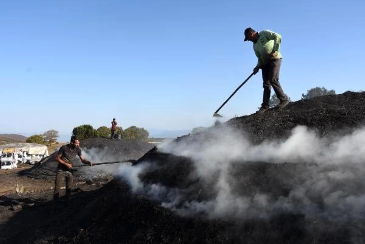 Mevsimlik işçilerin mangal kömürü mesaisi
