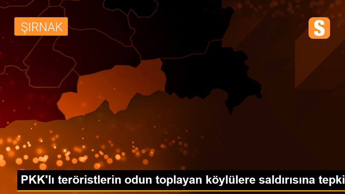 PKK\'lı teröristlerin odun toplayan köylülere saldırısına tepki