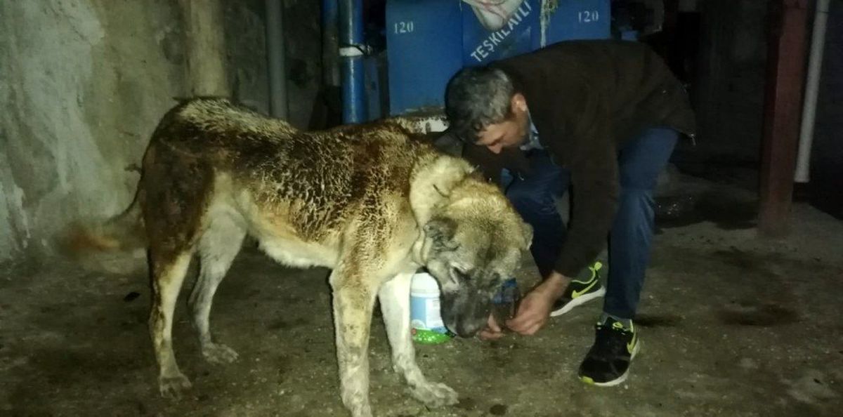Tokat\'ta 5 ev yangında hasar gördü
