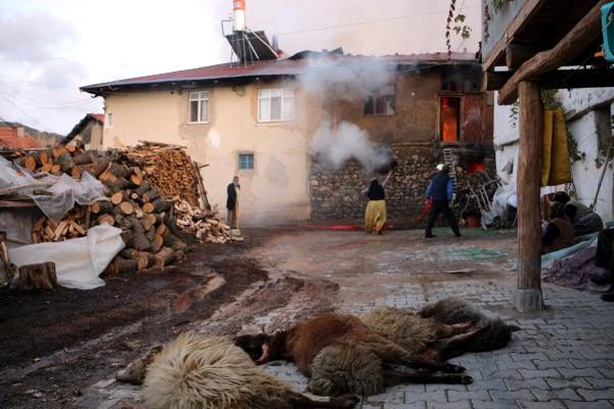 Tokat\'ta, köyde çıkan yangında 5 küçükbaş öldü