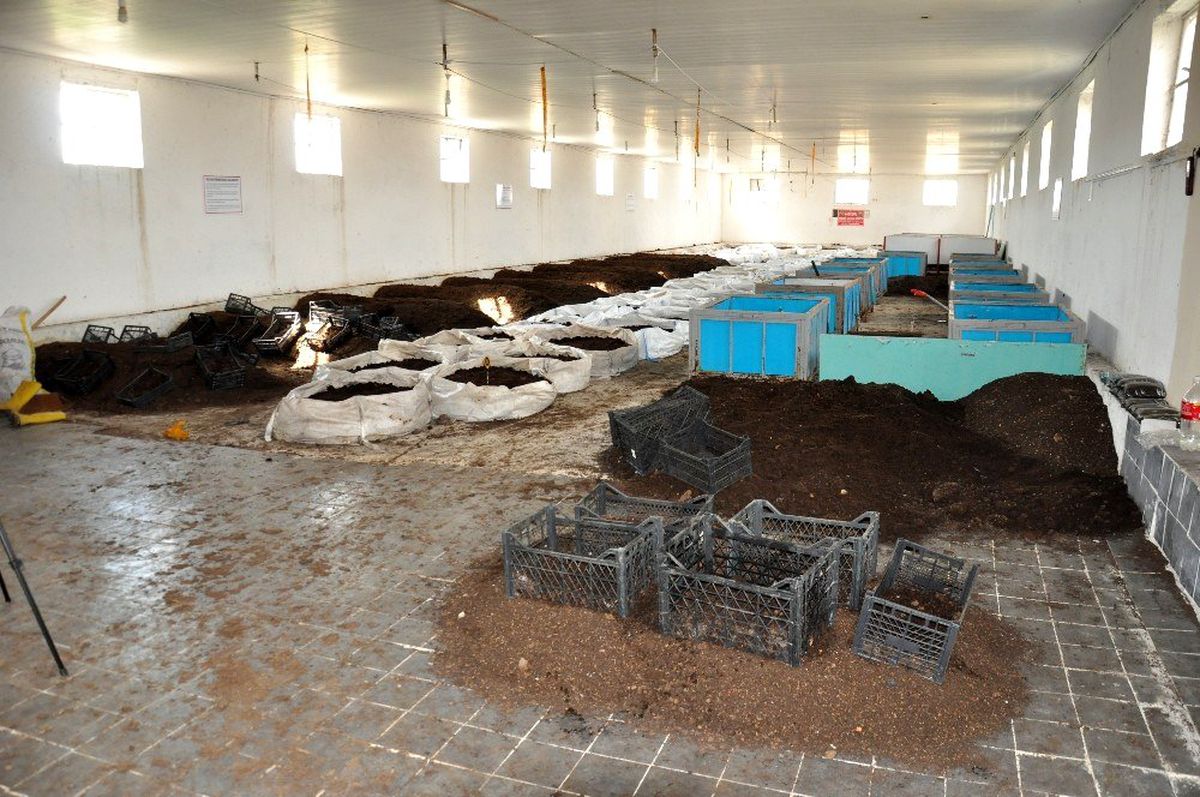 Afyonlu üreticiler Avrupa ve Asya ülkelerine solucan gübresi ihracatına hazırlanıyor