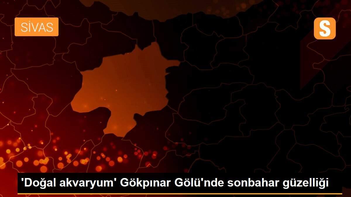 \'Doğal akvaryum\' Gökpınar Gölü\'nde sonbahar güzelliği