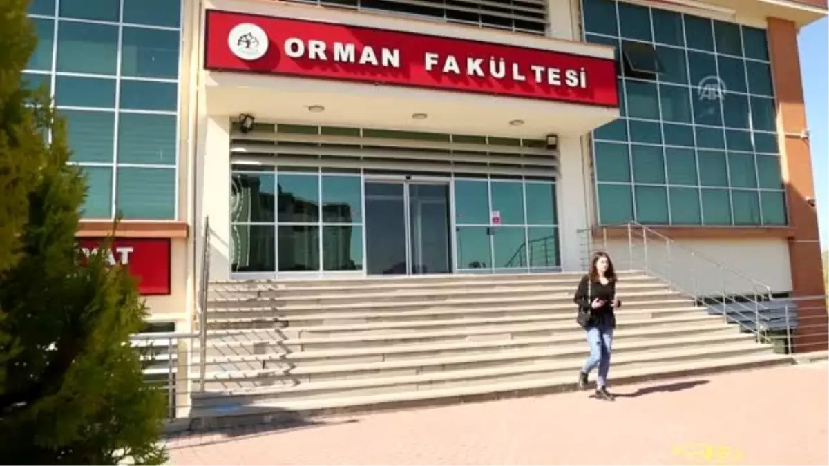 "İklim değişikliği, yaban hayatı ve insan çatışmasını artırdı"