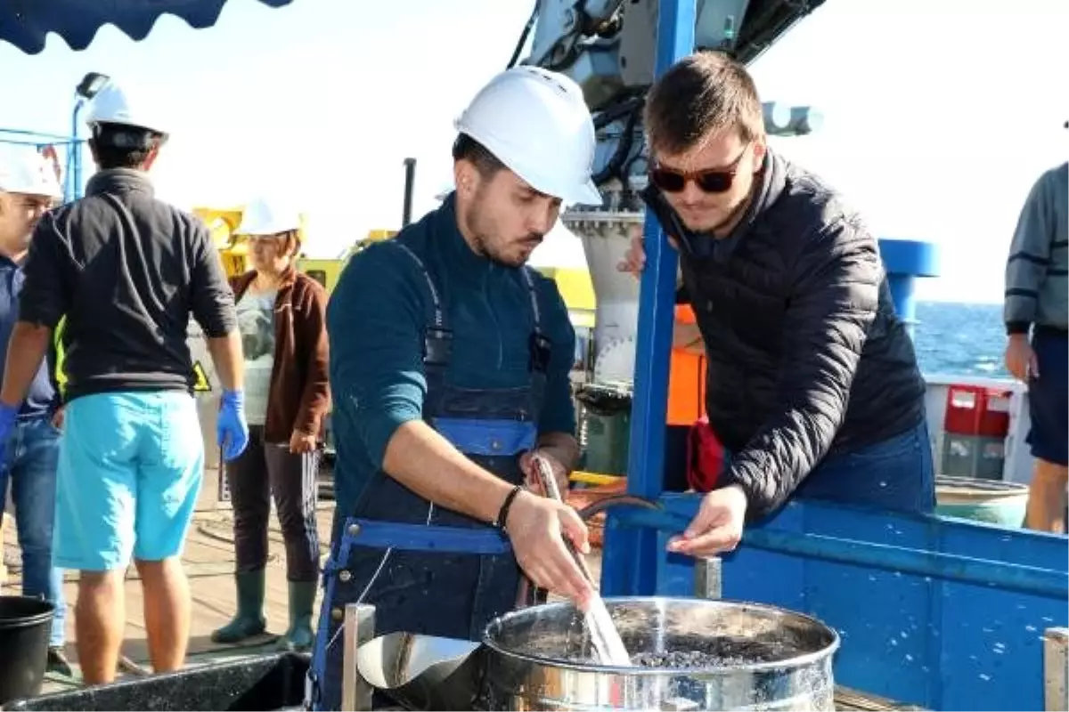 Karadeniz\'deki kirliliğe 4 ülkeden ortak bilimsel araştırma