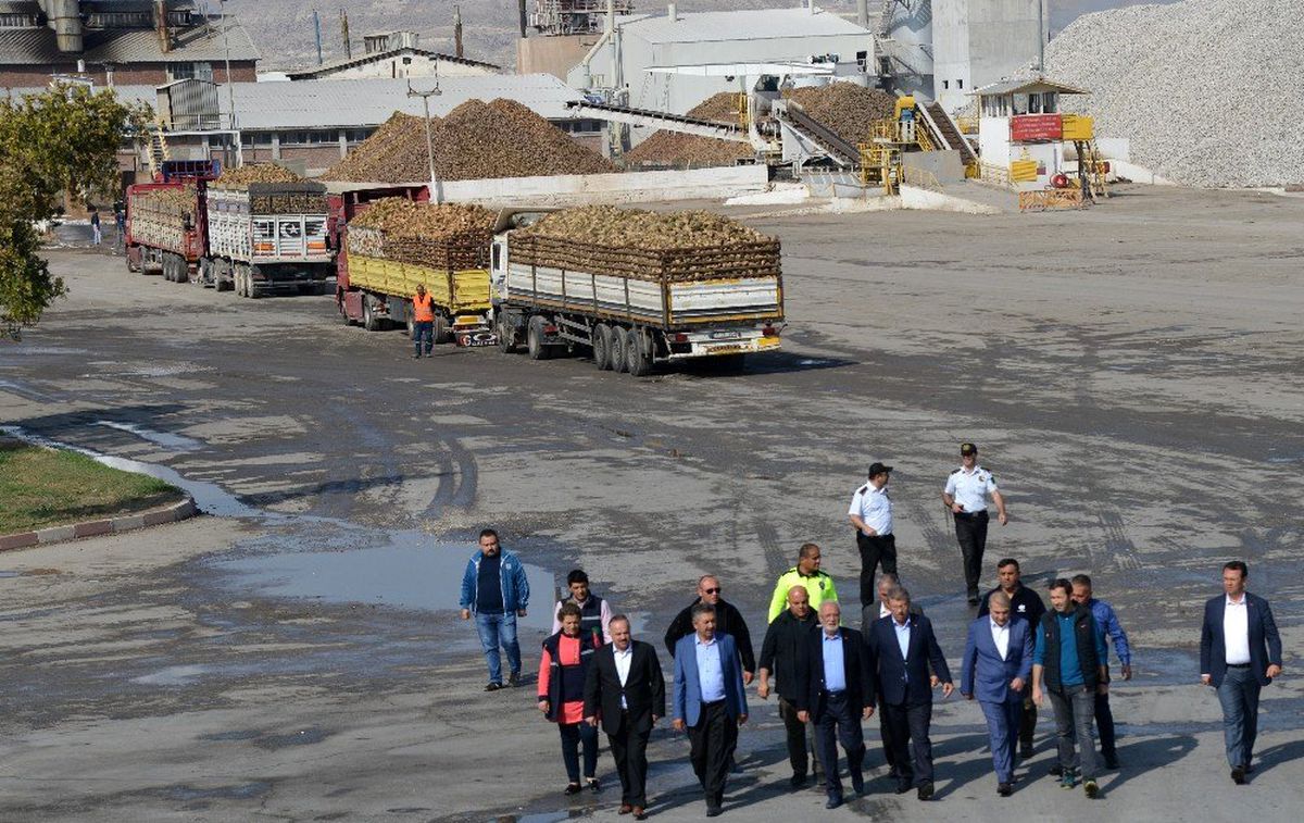 Kayseri Şeker\'de, Randevulu Pancar Sökümü ve Tesellüme Uyum Oranı yüzde 97