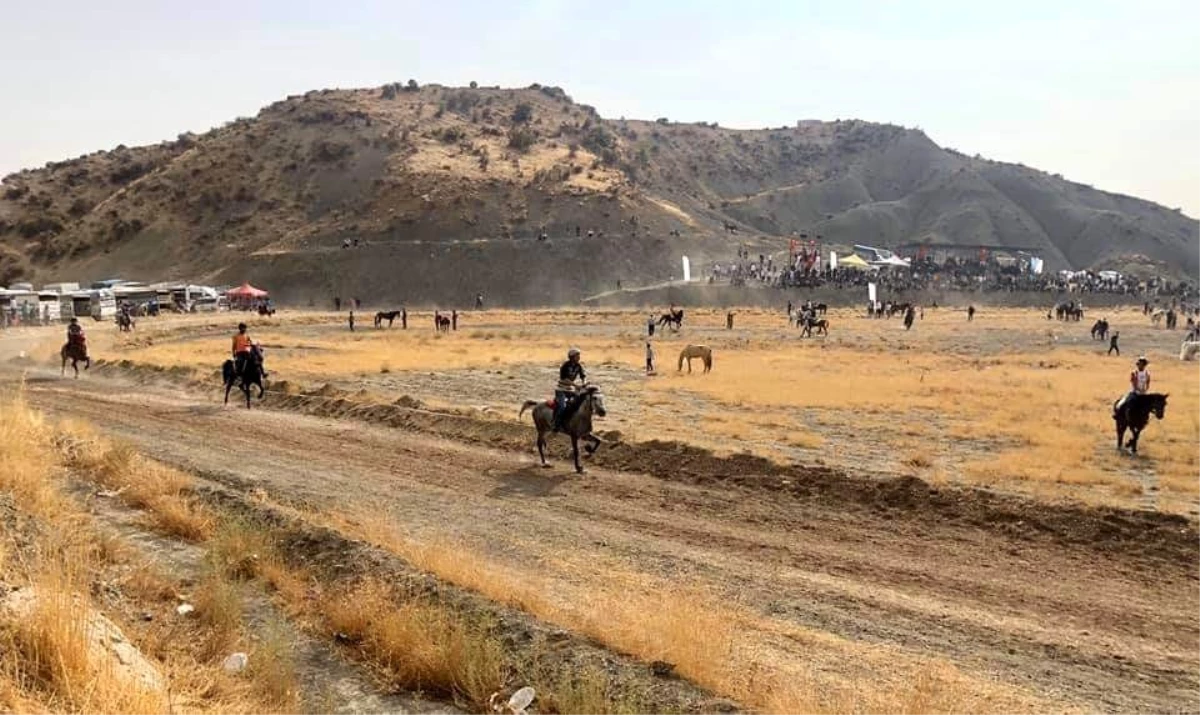 Mardin\'de rahvan atları yarıştı