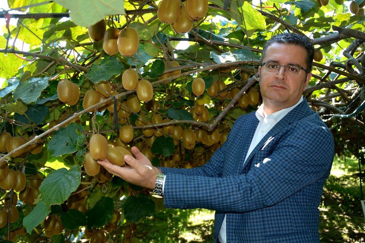\'Ordu kivisi\' marka oldu
