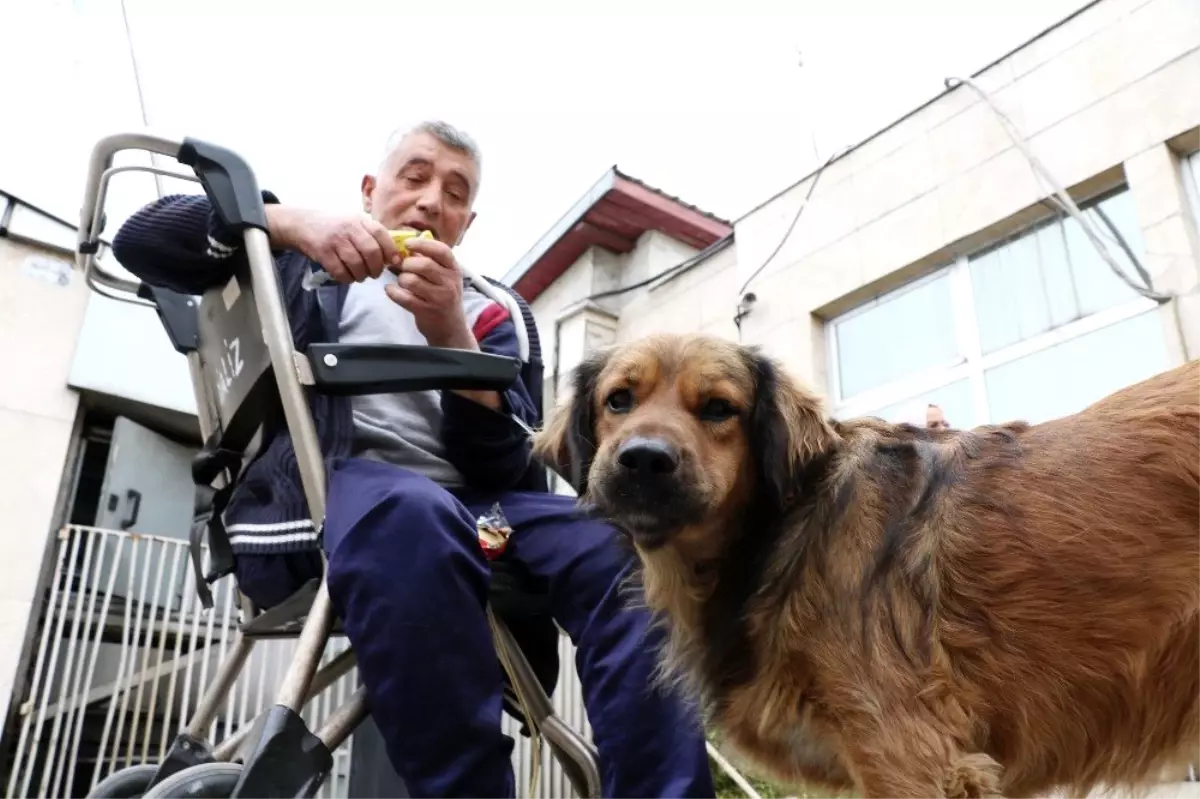 (Özel) O ikiliden geriye sadece fotoğraflar kaldı