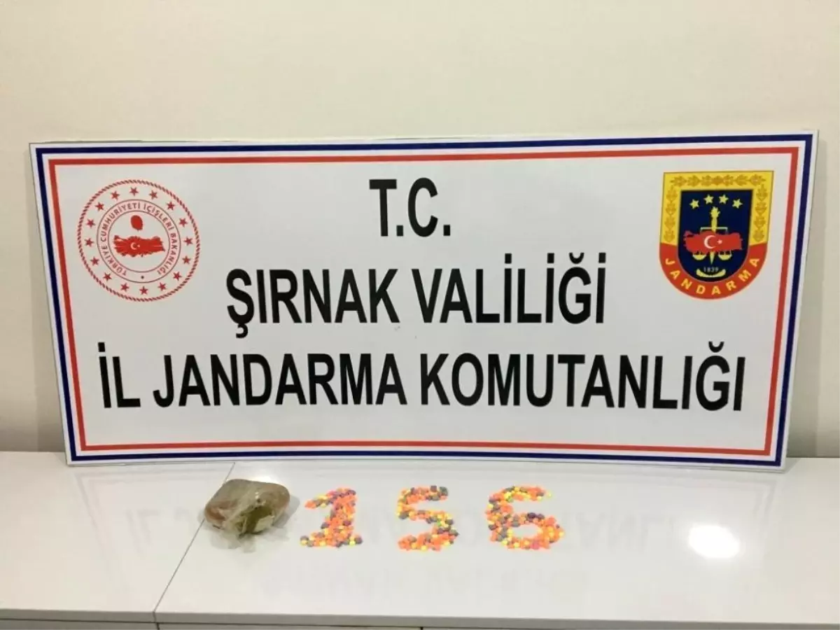 Şırnak\'ta kaçakçılık ve terörle mücadele operasyonunda 41 gözaltı