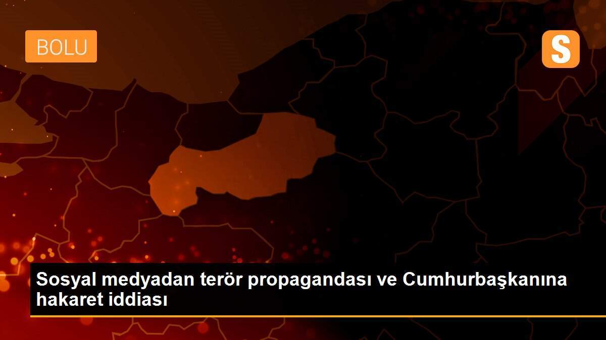 Sosyal medyadan terör propagandası ve Cumhurbaşkanına hakaret iddiası