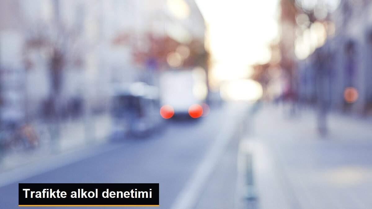 Trafikte alkol denetimi