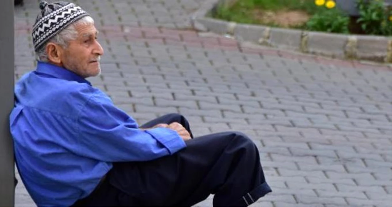 86 yaşında, bahçesinden topladığı cevizleri satıyor