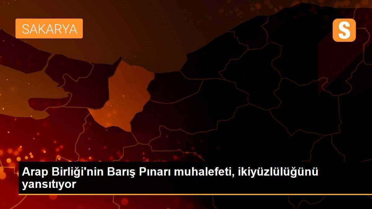 Arap Birliği\'nin Barış Pınarı muhalefeti, ikiyüzlülüğünü yansıtıyor