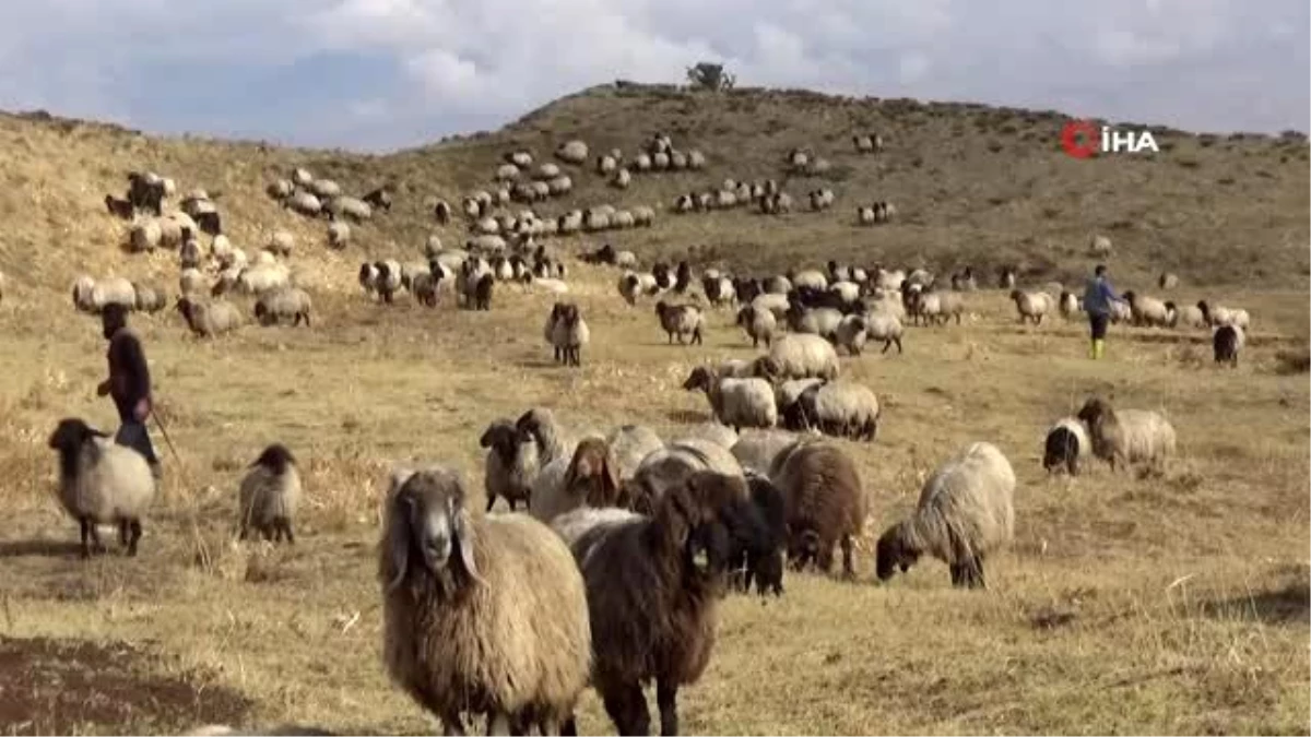 Göçerlerin zorlu yolculuğu