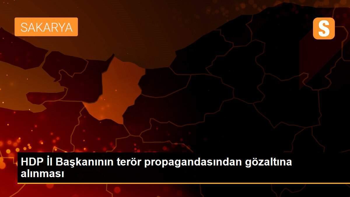 HDP İl Başkanının terör propagandasından gözaltına alınması