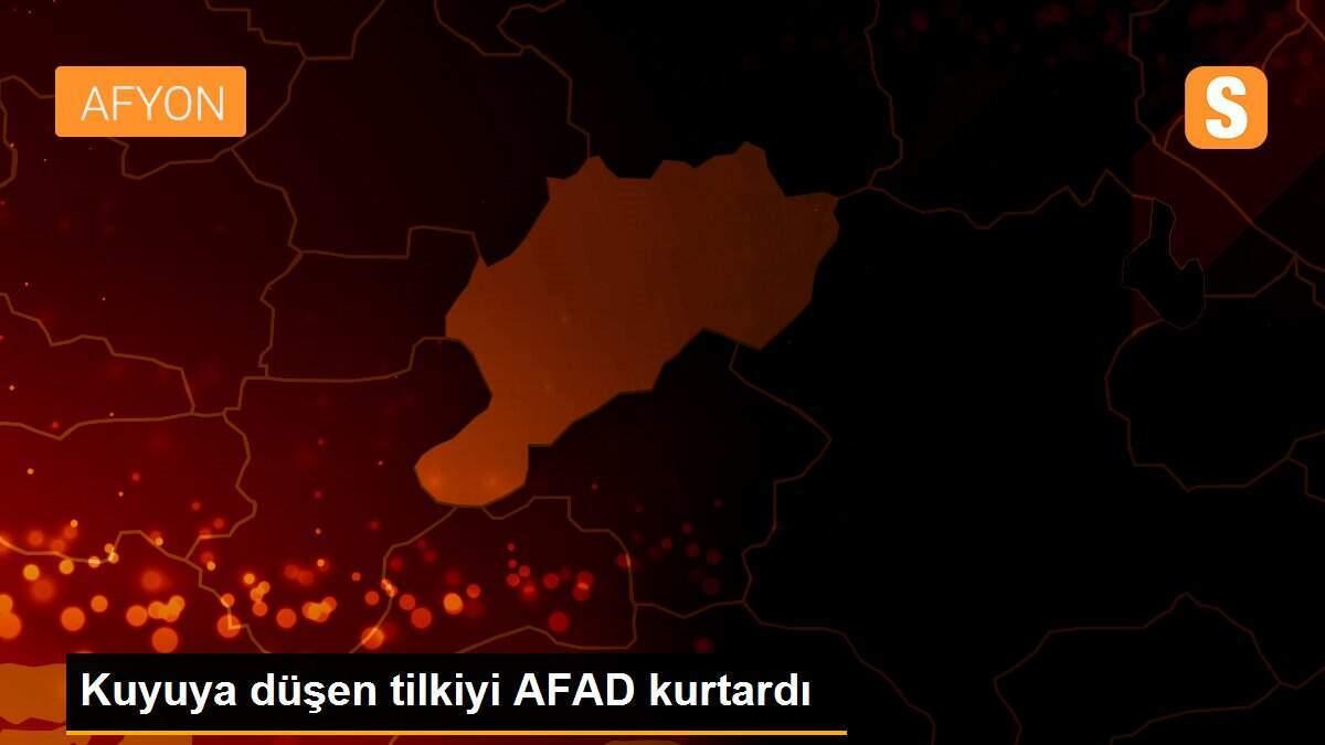 Kuyuya düşen tilkiyi AFAD kurtardı