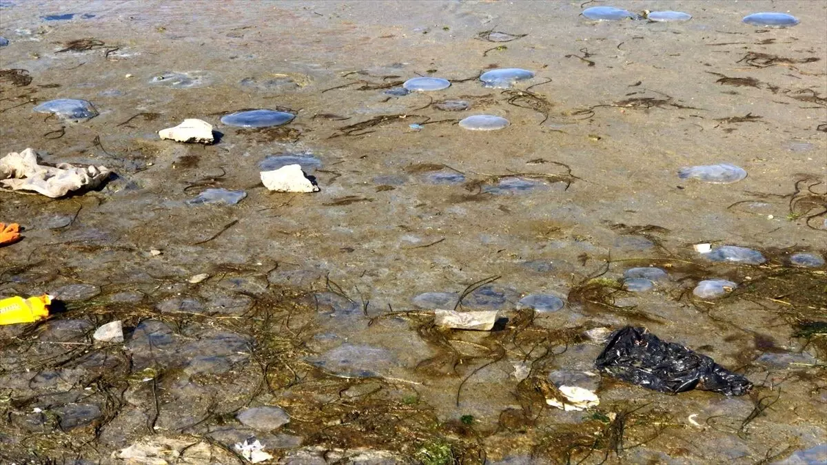 Tekirdağ\'da deniz çekildi