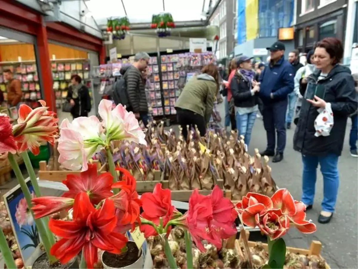 Amsterdam Çiçek Pazarı\'nda turistler \'kandırılıyor\'