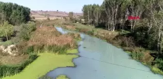 Kırklareli-teke deresi'nde kirlilik; beyaz ve gri renkte akıyor-1