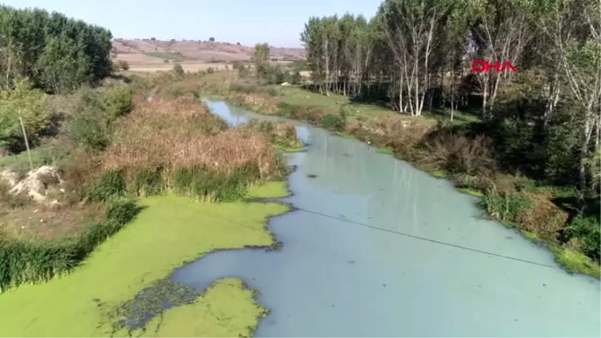 Kırklareli-teke deresi\'nde kirlilik; beyaz ve gri renkte akıyor-1