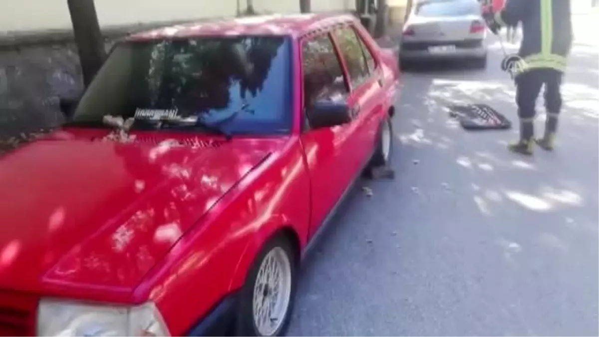 Otomobilin motoruna giren yılanı itfaiye çıkardı