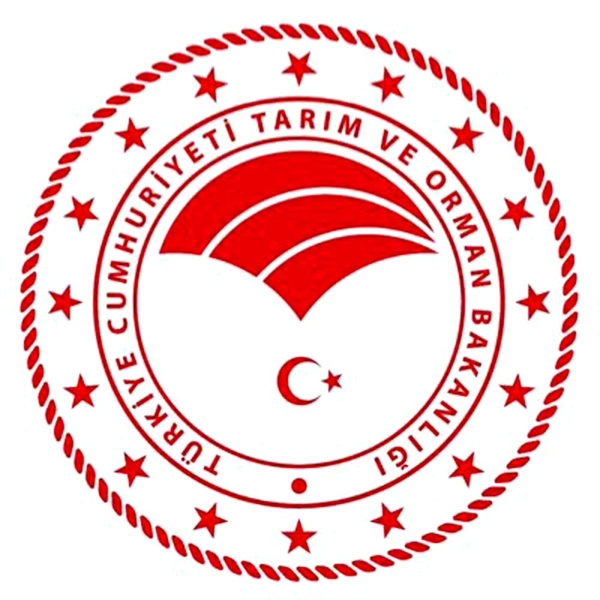 Bakanlıktan Kemerburgaz Kent Ormanı açıklaması