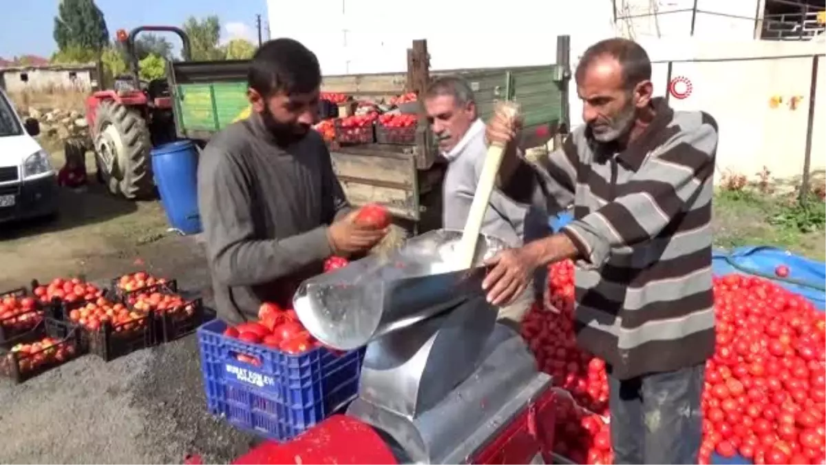 Domatesi elinde kalan üretici, çareyi salça yapmakta buldu