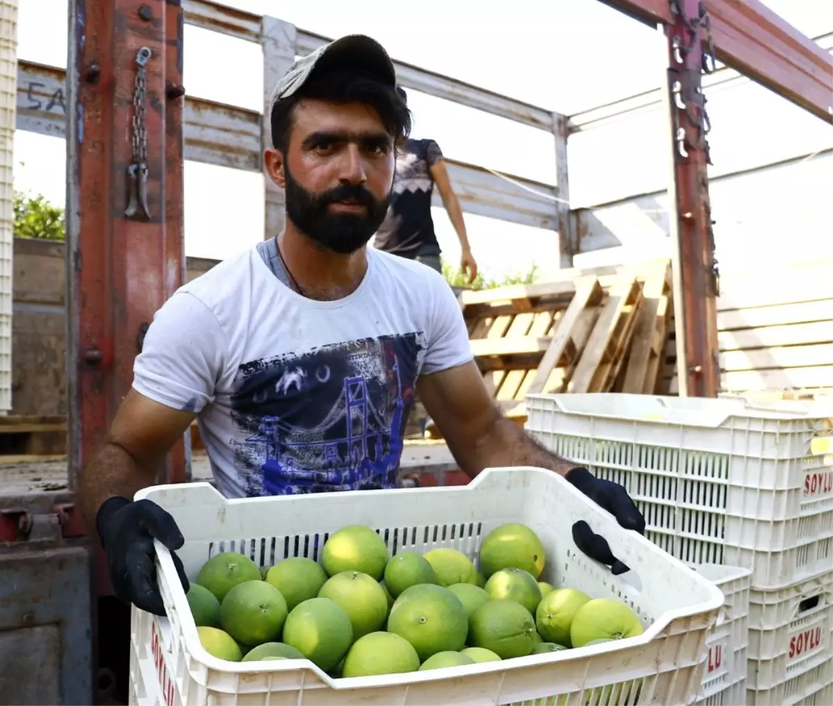 Felsefe okudu, tarım işçisi oldu