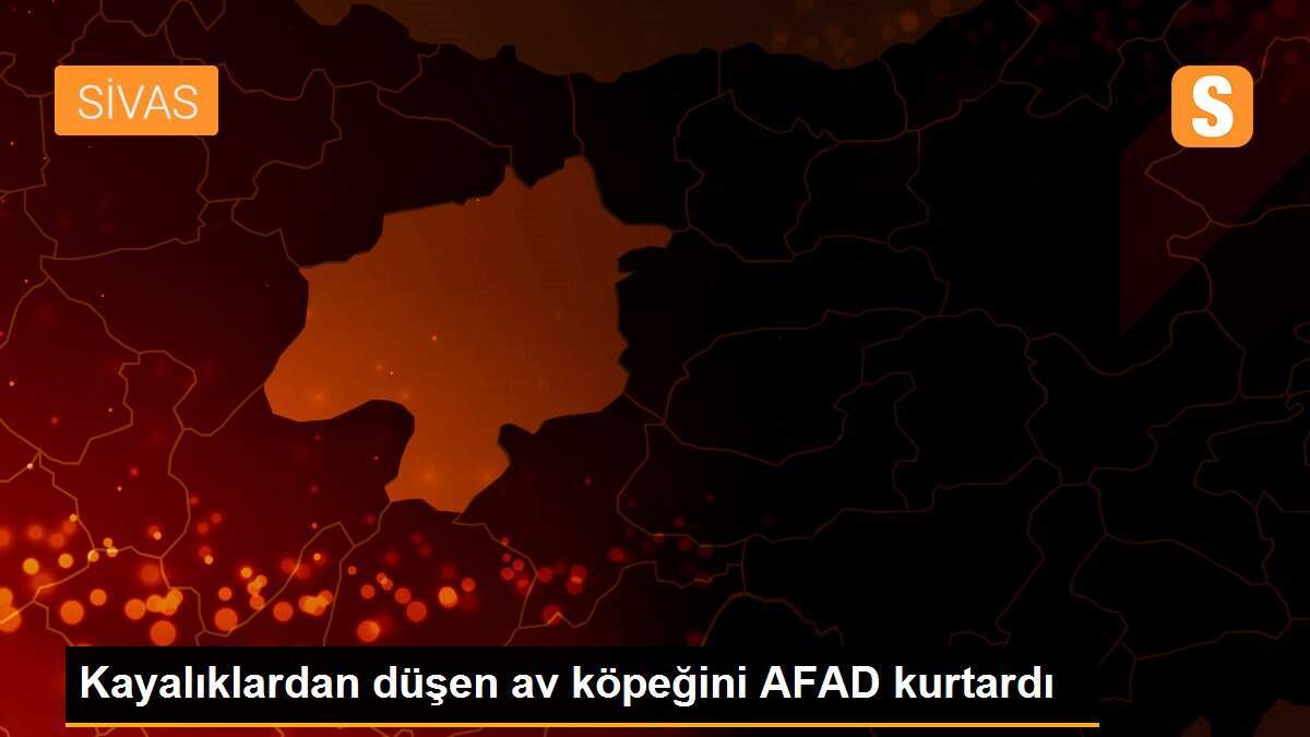 Kayalıklardan düşen av köpeğini AFAD kurtardı
