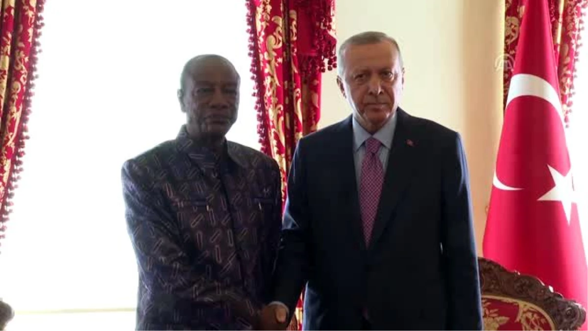 Türkiye Cumhurbaşkanı Erdoğan, Gine Cumhurbaşkanı Alpha Conde ile görüştü