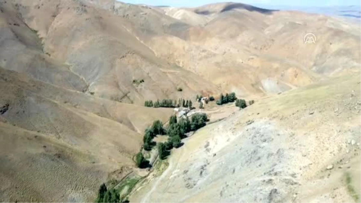 Dede yadigarı değirmeninin çarkını torunu döndürüyor