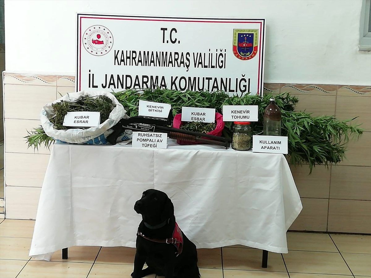 Kahramanmaraş\'ta uyuşturucu operasyonu