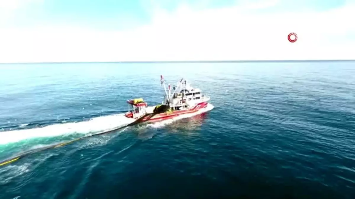 Karadeniz\'de "Zargana" balıkçıların yüzünü güldürdü