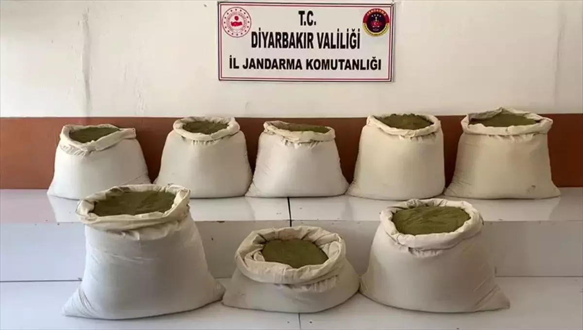 "Kırk surat" lakaplı şüpheli jandarma takibiyle yakalandı