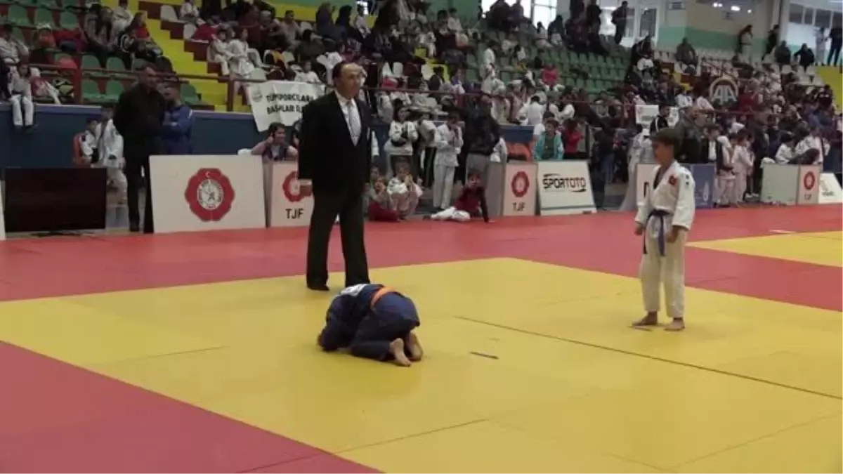 Uluslararası Judo Cumhuriyet Turnuvası