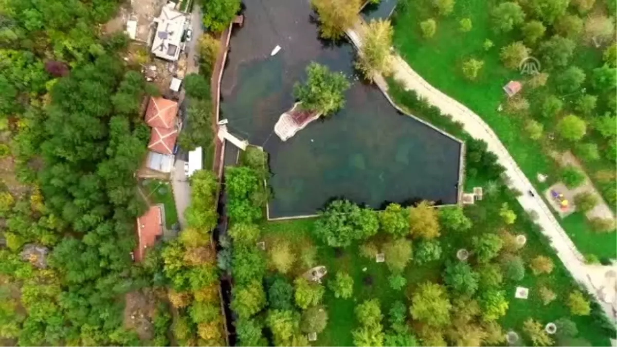 Kuğulu Milli Parkı sonbahar görüntüsüyle büyülüyor - KONYA