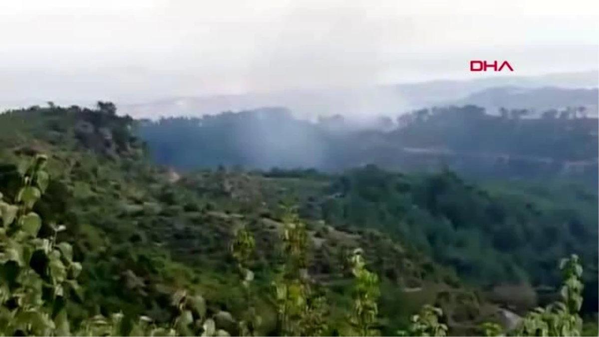 Osmaniye kadirli\'deki orman yangınında 6 hektarlık alan zarar gördü