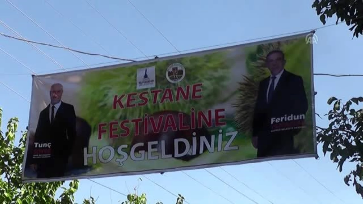 Beydağ\'da kestane festivali - İZMİR