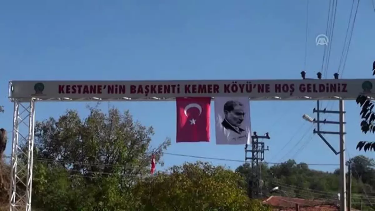 Ödemişli kestane üreticileri "sırıkçı" arıyor