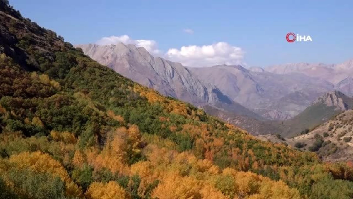 Tunceli\'de sonbaharla gelen "Renk Cümbüşü"