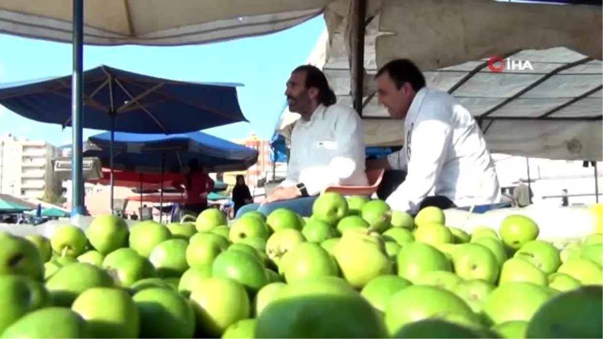 Zeytin satıcıları damlama sulama sisteminden şikayetçi