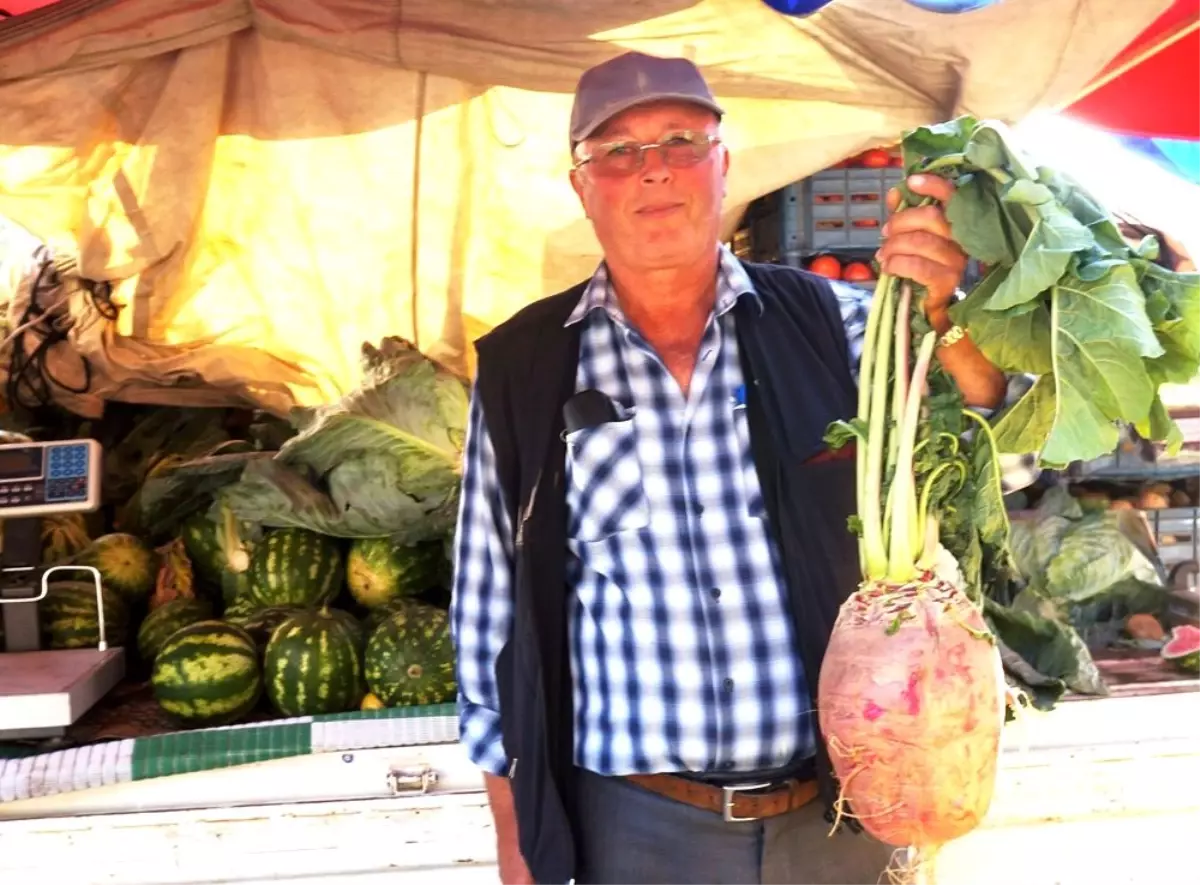 Pazara getirilen 4 buçuk kiloluk turp ilgi odağı oldu