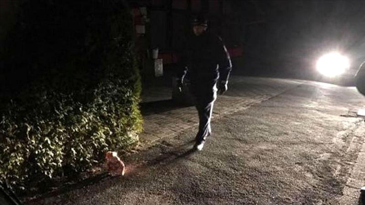 Almanya\'da Türk camisinin inşaatına domuz kafası bırakıldı