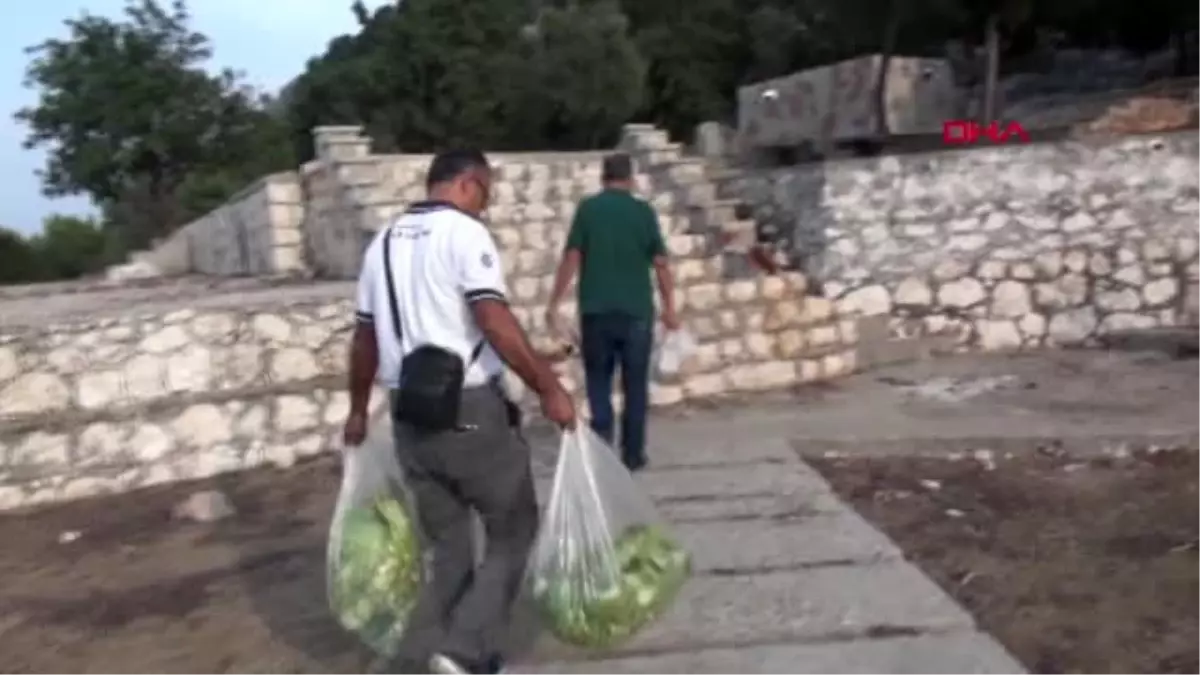 Antalya aşırlı adası\'nın doğal zenginliği dağ keçileri