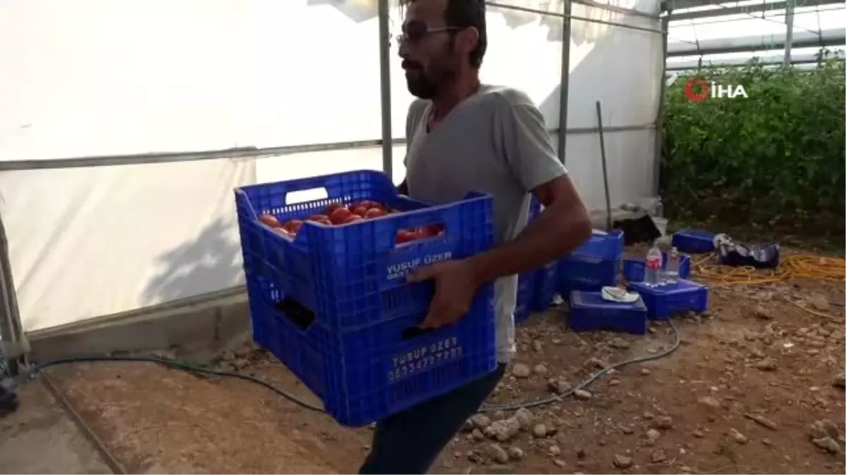 Antalya\'da çiftçiye şok ceza...7 yıl önce trafikten çektirdiği motosikleti için 12 bin liralık...